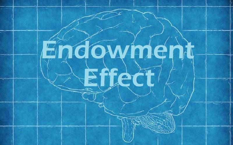 Decoding endowment effect in psychology - Verito.Today